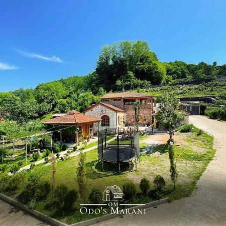 Odo'S Guest House Martvili Exterior photo